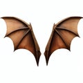 Wooden bat wings isolate on white background.Imaginative elements.generative AI