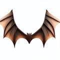 Wooden bat wings isolate on white background.Imaginative elements.generative AI