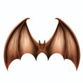 Wooden bat wings isolate on white background.Imaginative elements.generative AI