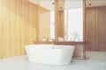 Wooden bathroom, sink, tub, side toned Royalty Free Stock Photo