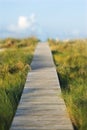 Wooden beach access walkway. Royalty Free Stock Photo