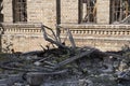 Wooden beams and planks after the demolition of a building