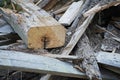 Wooden beams and planks after the demolition of a building