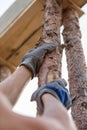 Wooden beams supporting roof Royalty Free Stock Photo