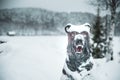 Wooden bear in the snow against the backdrop of a snowy forest and lake. Russian winter Royalty Free Stock Photo