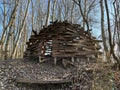 Wooden beaver castle or nest, wooden greenhouse in a protected landscape