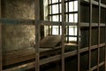 Wooden bed in a medieval prison cell