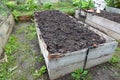 wooden bed prepared for autumn cultivation. vegetable garden soil ready for planting crops Royalty Free Stock Photo