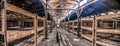 Oswiecim / Poland - 02.15.2018: Wooden beds inside the prisoner`s barrack in Auschwitz Birkenau Museum.