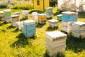 Wooden bee hives on apiary on sunny summer day on green grass meadow.