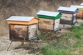 Wooden bee hives in a garden Royalty Free Stock Photo