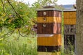 Wooden bee hives in the garden near the tree. Royalty Free Stock Photo