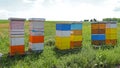 Beehive at Field Royalty Free Stock Photo