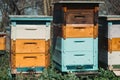 Several colorful wooden beehives. Apiary, beekeeping Royalty Free Stock Photo