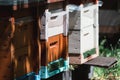 Wooden beehive. Apiary, beekeeping. Several colorful wooden beehives. Side view. Royalty Free Stock Photo