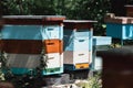 Wooden beehive. Apiary, beekeeping. Several colorful wooden beehives. Side view. Royalty Free Stock Photo