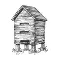 Wooden Beehive Apiary On Grass Apiculture Vector