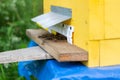 Wooden beehive and bees. bees flying back in hive after an intense harvest period Royalty Free Stock Photo