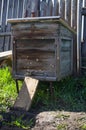 Wooden beehive with bees