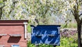 Wooden beehives in the apiary in the spring Royalty Free Stock Photo