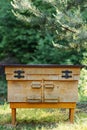 Wooden beehives for bees near the forest in the garden Royalty Free Stock Photo