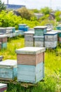 Wooden beehives. Frames of a beehive. Sunny day is perfect time for collecting honey. Full length Royalty Free Stock Photo