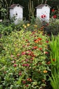 Wooden beehives in a garden