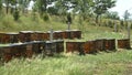 Wooden Beehives in a Grassy Field Royalty Free Stock Photo