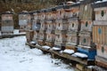 Wooden beehives in a snow shower. Snow falls on wooden beehives of domestic production. hidden bees, however, know nothing. Autumn Royalty Free Stock Photo