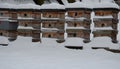 Wooden beehives in a snow shower. Snow falls on wooden beehives of domestic production. hidden bees, however, know nothing. Autumn Royalty Free Stock Photo