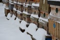 Wooden beehives in a snow shower. Snow falls on wooden beehives of domestic production. hidden bees, however, know nothing. Autumn Royalty Free Stock Photo