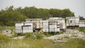 Wooden beehives standing on the hill slope near forest, with active honey bees, on summer meadow Royalty Free Stock Photo