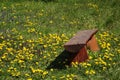 Wooden bench