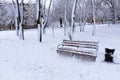 Wooden bench in the alley of the city park covered with snow Royalty Free Stock Photo