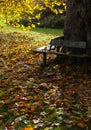 Wooden Bench Around a Big Tree on Sunny Day in Park Royalty Free Stock Photo