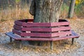 Wooden bench around a tree in an autumn park Royalty Free Stock Photo