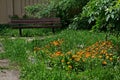 Wooden bench in an authentic flower garden with nature reviving in spring Royalty Free Stock Photo