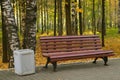 Wooden bench in autumn city park among birches near asphalt path. Royalty Free Stock Photo