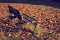 Wooden bench in autumn park Royalty Free Stock Photo