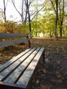 Wooden bench in autumn park