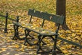 Wooden bench in the autumn park with fallen yellow leaves Royalty Free Stock Photo