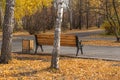 Wooden bench in the autumn Park. Rear view Royalty Free Stock Photo