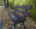 wooden bench autumn park sunny day close-up Royalty Free Stock Photo