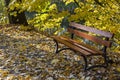 wooden bench autumn park sunny day close up Royalty Free Stock Photo