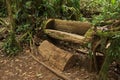 Wooden bench in Bosque Nuboso National Park near Santa Elena in Costa Rica Royalty Free Stock Photo