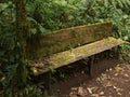 Wooden bench in Bosque Nuboso National Park near Santa Elena in Costa Rica Royalty Free Stock Photo