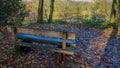 Wooden bench in the Bunderbos forest on a lookout on a hill Royalty Free Stock Photo