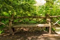 Wooden bench in central park in New York city on a warm sunny day Royalty Free Stock Photo