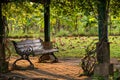 wooden bench chair in park at sunset Royalty Free Stock Photo