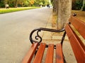 Wooden bench in the city park alley on a warm autumn day Royalty Free Stock Photo